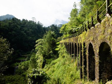 Kemerli eski bir taş köprünün manzarası, arka planda yemyeşil ağaçlar ve tepeler, doğal güneş ışığıyla aydınlatılmış, doğa yolculuğu ve açık hava eğlencesi için mükemmel huzurlu ve canlı bir atmosfer yaratıyor..