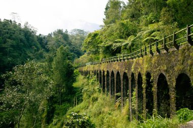 Parlak doğal ışık altında yoğun yeşil ormandan geçen birden fazla kemerli eski bir taş viyadük manzarası seyahat ve doğa pazarlaması için mükemmel barışçıl ve tarihi bir atmosfer yaratıyor..