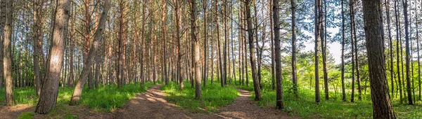 Kislovodsk Park panoramik çekim