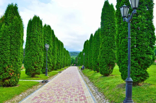 Kislovodsk Rose Valley