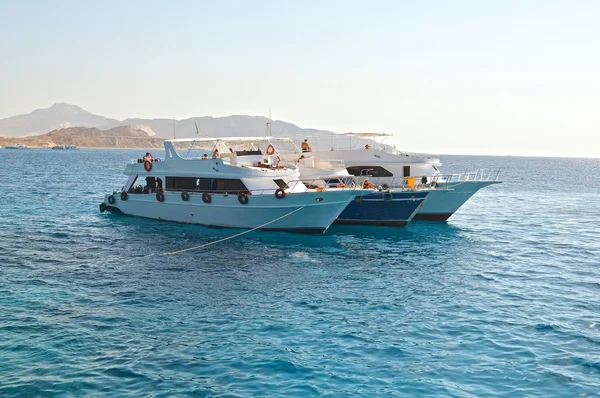 Red Sea'deki/daki üç tekne. Deniz kıyısında. Sharm El Sheikh