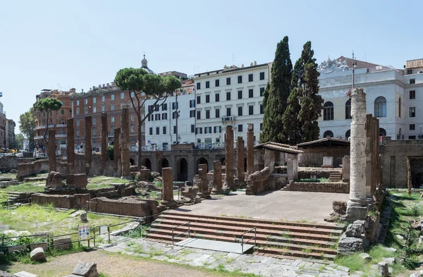 Roma'da kedi cenneti