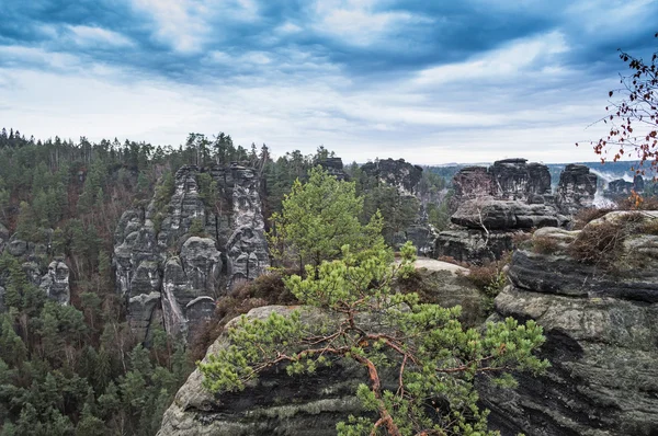 Sessiz dağ Saksonya sisin içinde sarılmış