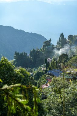 Darjeeling çevresindeki çay bahçeleri, manzara ve coğrafi çeşitlilik