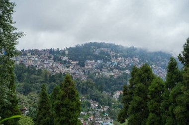 Darjeeling çevresindeki çay bahçeleri, manzara ve coğrafi çeşitlilik