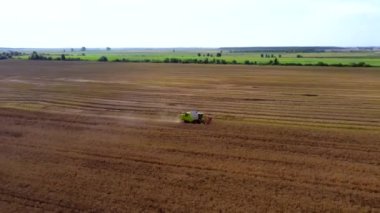 Yazın buğday hasadı. Tarlada çalışan iki hasat işçisi. Hasat makinesini tarlada yetişmiş altın buğday toplamak için birleştirin. Yukarıdan görüntüle