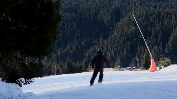 Jovem Esquiador Recreativo Adulto Goza Clima Idílico Perfeito Inverno Frio — Vídeo de Stock