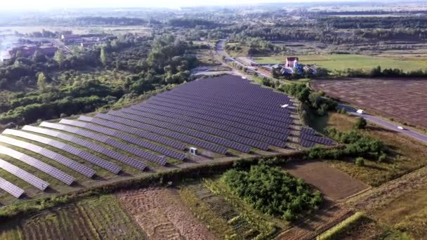 Solar Power Station Green Field Sunny Day Aerial View Solar — Stock Video