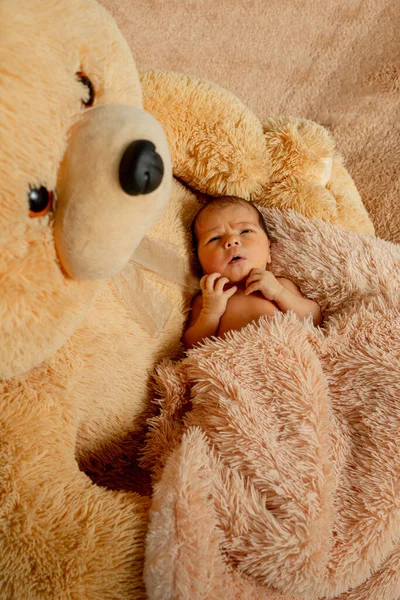 Bebé Recién Nacido Dos Semanas Durmiendo Osito Peluche — Foto de Stock