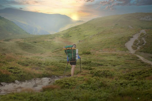 Karpatlar Dağlarında Bir Gezgin Seyahat Sporu Yaşam Tarzı Konsepti — Stok fotoğraf