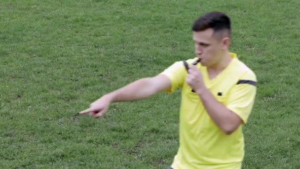 Fotboll Soccer Domare Visslar Och Visar Straff Och Gult Rött — Stockvideo