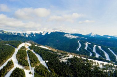 Karpatlar 'da kış tatiline giden çam ağaçlarının arasından kayak ve kar kayağı manzarası..