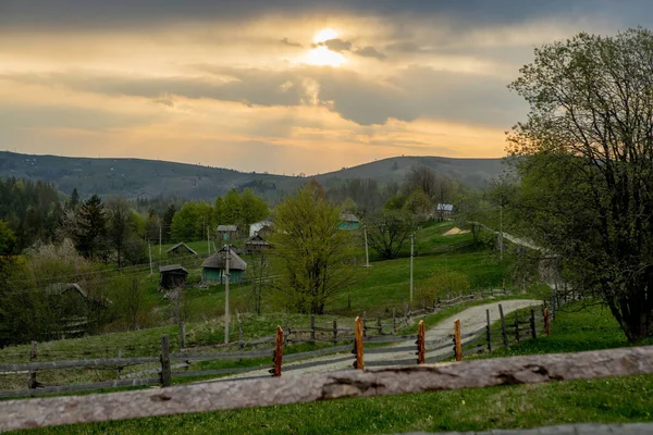 Gün Batımında Güzel Bir Yaz Manzarası Karpatya Ukrayna Avrupa Yakınlarındaki — Stok fotoğraf