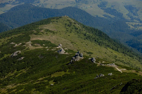 Karpaty Pasmo Górskie Letni Poranek Piękno Dzikiej Dziewiczej Ukraińskiej Natury — Zdjęcie stockowe