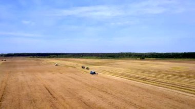 Yazın buğday hasadı. Tarlada çalışan iki hasat işçisi. Hasat makinesini tarlada yetişmiş altın buğday toplamak için birleştirin. Yukarıdan görüntüle