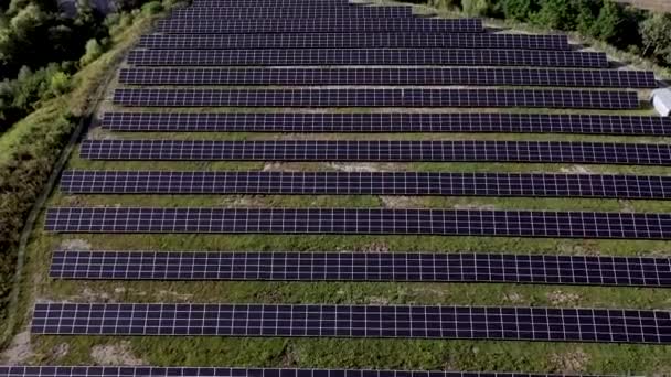 Solar Power Station Green Field Sunny Day Aerial View Solar — Stock Video