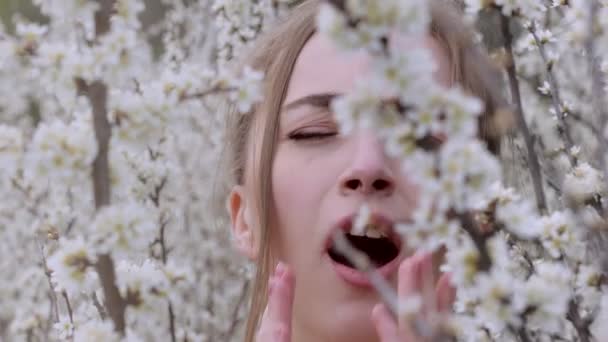 Sneezing Giovane Donna Con Tergicristallo Naso Tra Gli Alberi Fiore — Video Stock