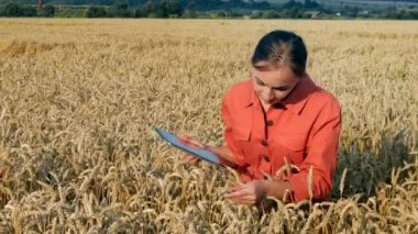 Beyaz Agronomist mısır gevreği tarlasını kontrol ediyor ve tabletteki buluta veri gönderiyor. Akıllı tarım ve dijital tarım kavramı. Başarılı organik gıda üretimi ve yetiştirilmesi