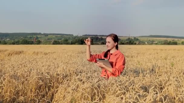 Landwirt Erforscht Pflanze Weizenfeld Der Hand Hält Ein Glasröhrchen Mit — Stockvideo