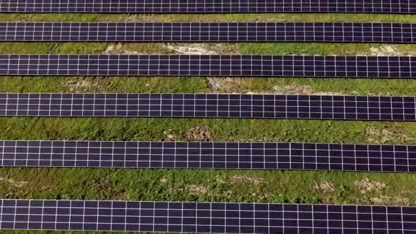 Solar Power Station Green Field Sunny Day Aerial View Solar — Stock Video