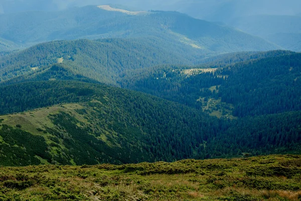 Cordillera Los Cárpatos Mañana Verano Belleza Naturaleza Salvaje Virgen Ucraniana —  Fotos de Stock