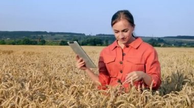 Beyaz Agronomist mısır gevreği tarlasını kontrol ediyor ve tabletteki buluta veri gönderiyor. Akıllı tarım ve dijital tarım kavramı. Başarılı organik gıda üretimi ve yetiştirilmesi.