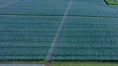 Elma bahçesindeki plastik seranın havadan görünüşü. Organik çiftçilikte bitki yetiştirme