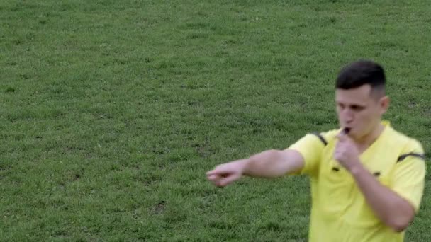 Football Football arbitre siffle et montre peine et carton jaune — Video