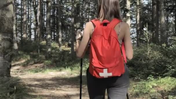 Sporty Hikers Path Trekking Poles Traveling Forest — Stock Video