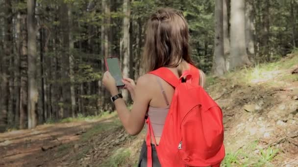 Kvinna Som Står Mitt Skogen Använder Navigationsapp Smartphone Följer Rutten — Stockvideo