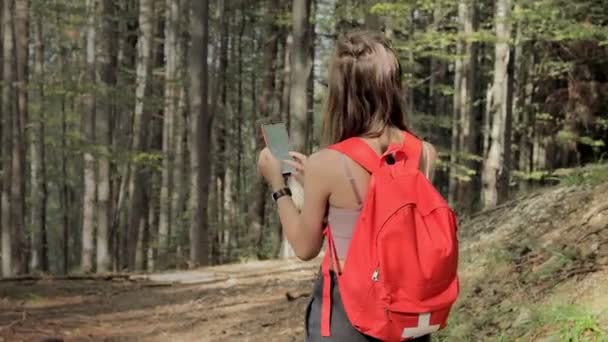 Kvinna Som Står Mitt Skogen Använder Navigationsapp Smartphone Följer Rutten — Stockvideo