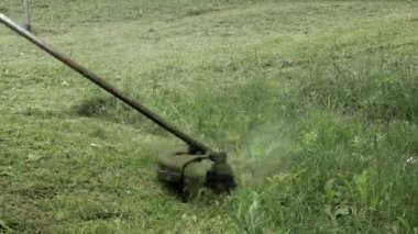 Elinde çim biçme makinesiyle evin önünde çim biçen bir işçi. Bir adamın ellerinde budayıcı. Bahçıvan çimleri biçiyor. Yaşam biçimi