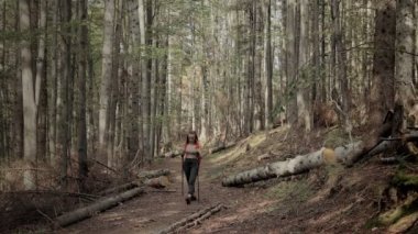 Sırt çantalı ve sırıkla gezen genç bir turist ormanda yürüyor..