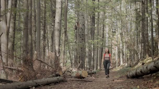 Woman Tourist Sitting Mountain Trail Holding Sore Leg First Aid — Stock Video