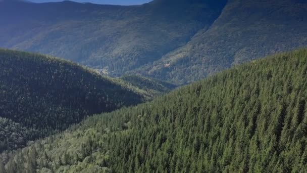 Luftaufnahme Der Bergkette Und Des Tiefen Waldes — Stockvideo