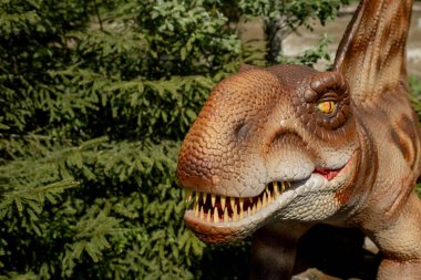 Parkta bir sürü farklı dinozor var..