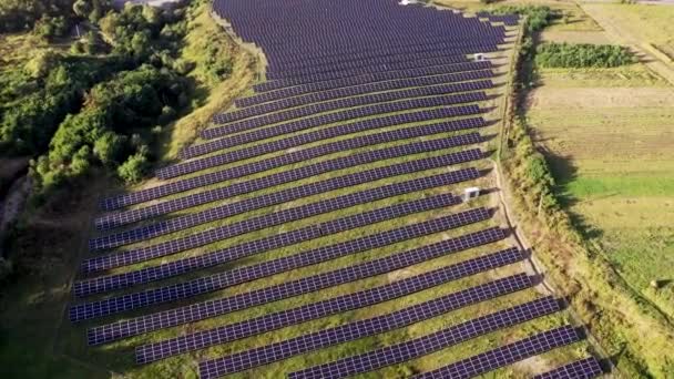 Solar Panels Nature Long Rows Blue Photovoltaic Panels Field Sustainable — Stock Video