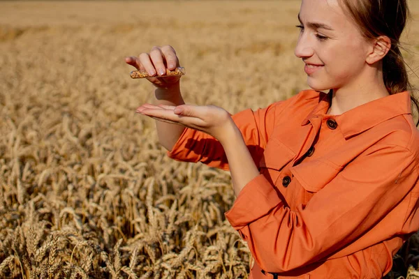 Agricultor Pesquisando Planta Campo Trigo Mão Tem Tubo Vidro Contendo — Fotografia de Stock