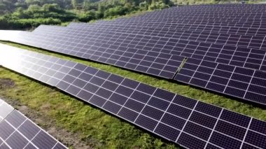 Doğanın güneş panelleri. Sahada uzun sıra mavi fotovoltaik paneller var. Sürdürülebilir enerji kaynağı. Üst hava görüntüsü
