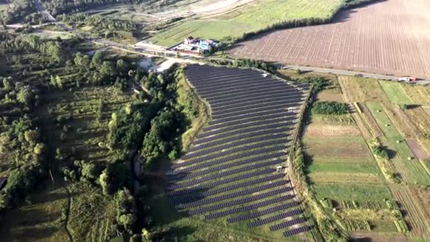 Widok Lotu Ptaka Słoneczną Elektrownię Zielonym Polu Słoneczny Dzień Dron — Wideo stockowe