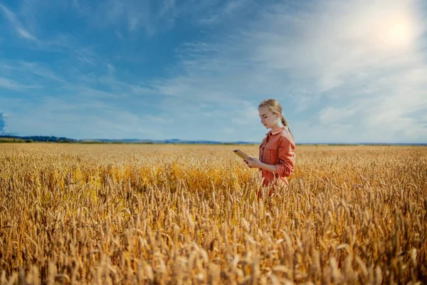 กเทคโนโลย วขาว Agronomist บแท บเล ตคอมพ วเตอร ในสาขาของการตรวจสอบค ณภาพข าวสาล — ภาพถ่ายสต็อก