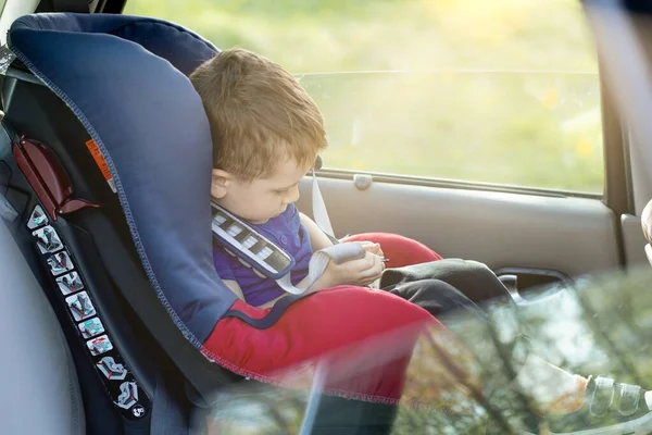 Anak Kecil Itu Memakai Sabuk Pengaman Dalam Mobil Konsep Kendaraan — Stok Foto