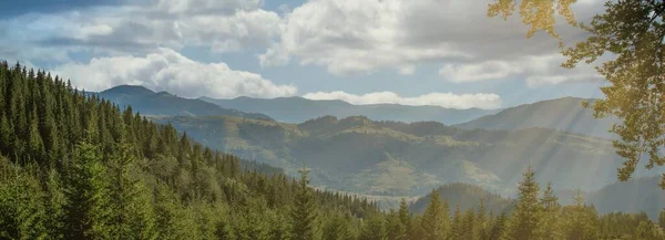 Panorama Las Montañas Cárpatas Verano Día Soleado Mundo Belleza Gran — Foto de Stock