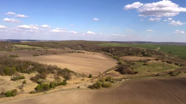 Letecký Pohled Velký Traktor Obdělávající Suché Pole Shora Dolů Anténní — Stock video