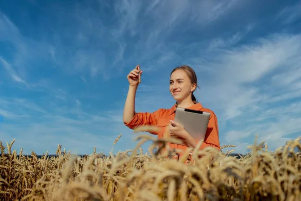 Farmer Researching Plant Wheat Field His Hand Holds Glass Tube — Stock Photo, Image