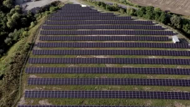 Solar Power Station Green Field Sunny Day Aerial View Solar — Stock Video