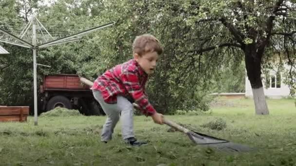 Malý Chlapec Hrabat Čerstvě Posekanou Trávu Zahradě — Stock video