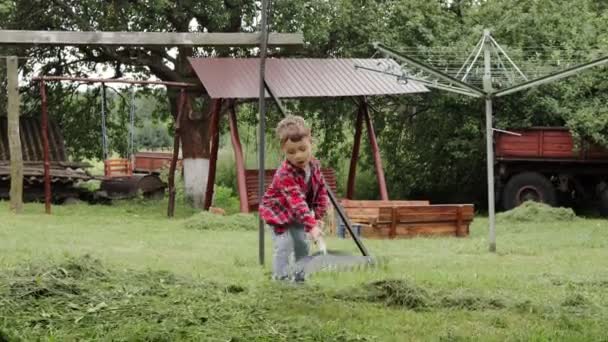 Malý Chlapec Hrabat Čerstvě Posekanou Trávu Zahradě — Stock video