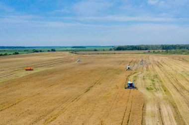 Yazın buğday hasadı. Tarlada çalışan iki hasat işçisi. Hasat makinesini tarlada yetişmiş altın buğday toplamak için birleştirin. Yukarıdan görüntüle