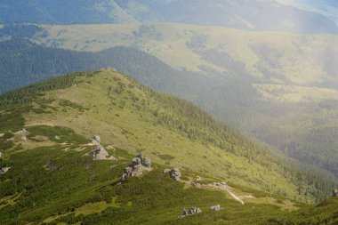 Karpatlar 'ın yaz sabahı dağlık arazisi. Vahşi bakire Ukrayna doğasının güzelliği. Huzur.